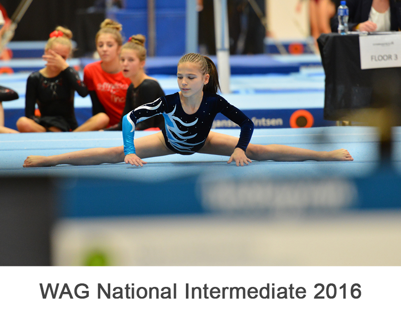 WAG National Intermediate 2016