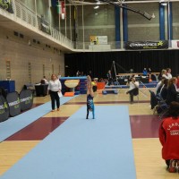 WAG 2-4 All Round 2016