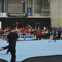 WAG 2-4 All Round 2016