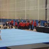 WAG National Team Level 2-5 All Round 2016