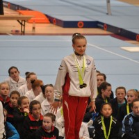 WAG National/Regional Level 6-9 All Round 2015