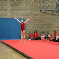 WAG Regional Level 2-9 All round Competition