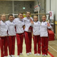 Regional Individual Apparatus and Team Competition 2013