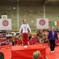 Regional Individual Apparatus and Team Competition 2013