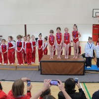 North Dublin Regional Gymnastics Competition
