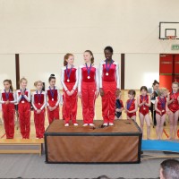 North Dublin Regional Gymnastics Competition