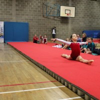 WAG Regional Level 2-9 All round Competition