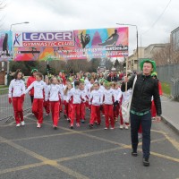 St Patrick's Day, Parade 2014